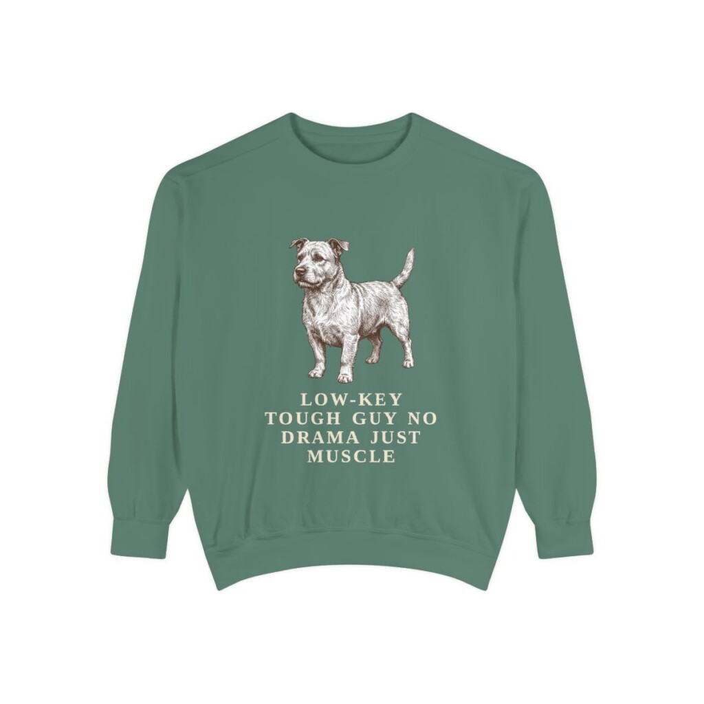 Glen of Imaal Terrier Humor Sweatshirt, Light Green, front view