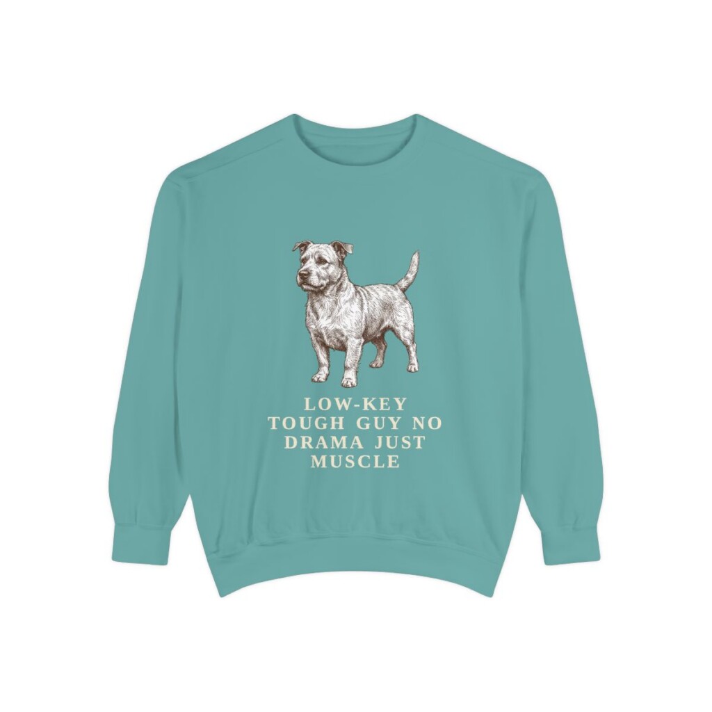 Glen of Imaal Terrier Humor Sweatshirt, Seafoam, front view