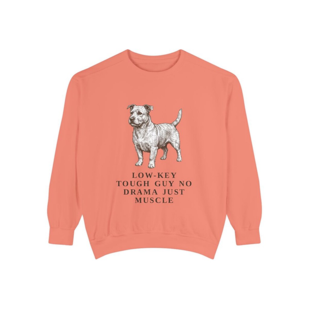 Glen of Imaal Terrier Humor Sweatshirt, Terracotta, front view