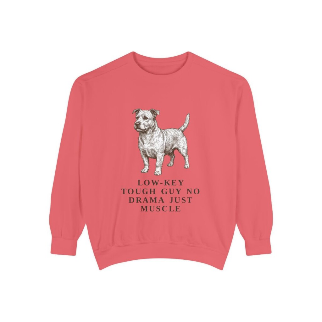 Glen of Imaal Terrier Humor Sweatshirt, Watermelon, front view