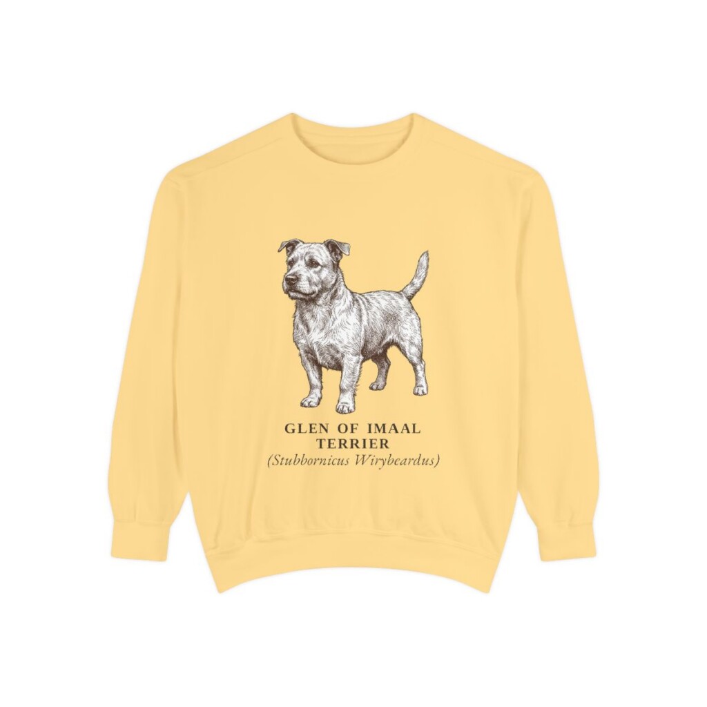 glen-of-imaal-terrier-sweatshirt-latin-butter Glen of Imaal Terrier Latin Sweatshirt, Butter, front view
