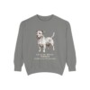 glen-of-imaal-terrier-sweatshirt-latin-grey Glen of Imaal Terrier Latin Sweatshirt, Grey, front view
