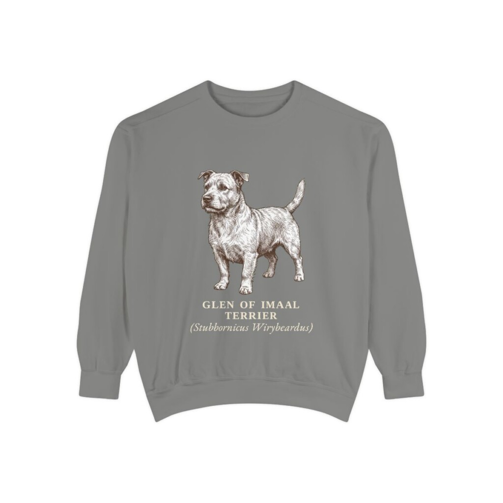glen-of-imaal-terrier-sweatshirt-latin-grey Glen of Imaal Terrier Latin Sweatshirt, Grey, front view