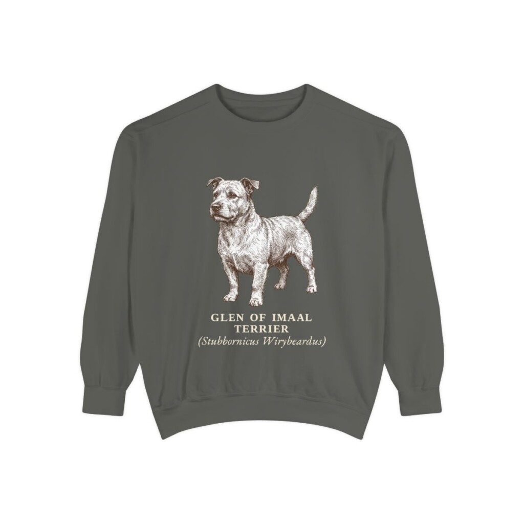 glen-of-imaal-terrier-sweatshirt-latin-pepper Glen of Imaal Terrier Latin Sweatshirt, Pepper, front view