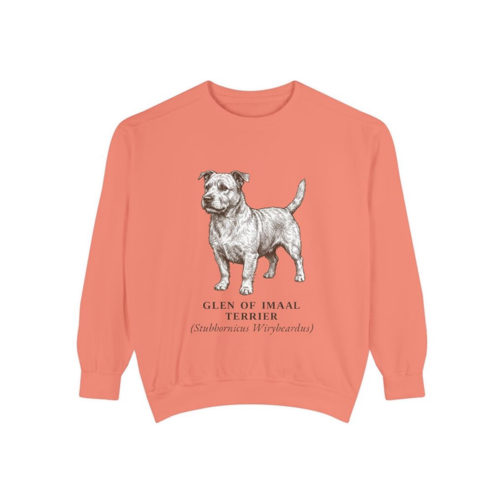 glen-of-imaal-terrier-sweatshirt-latin-terracotta Glen of Imaal Terrier Latin Sweatshirt, Terracotta, front view