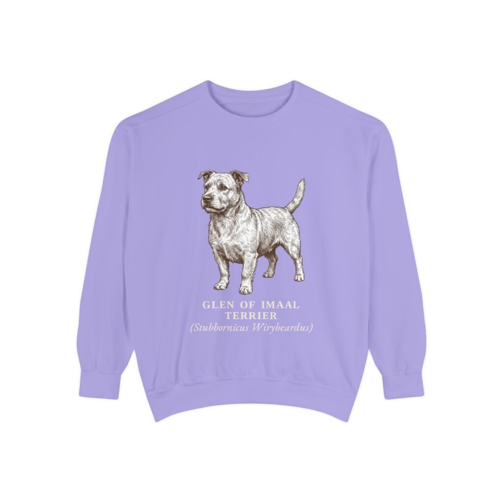 glen-of-imaal-terrier-sweatshirt-latin-violet Glen of Imaal Terrier Latin Sweatshirt, Violet, front view