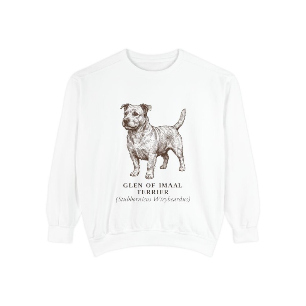 glen-of-imaal-terrier-sweatshirt-latin-white Glen of Imaal Terrier Latin Sweatshirt, White, front view