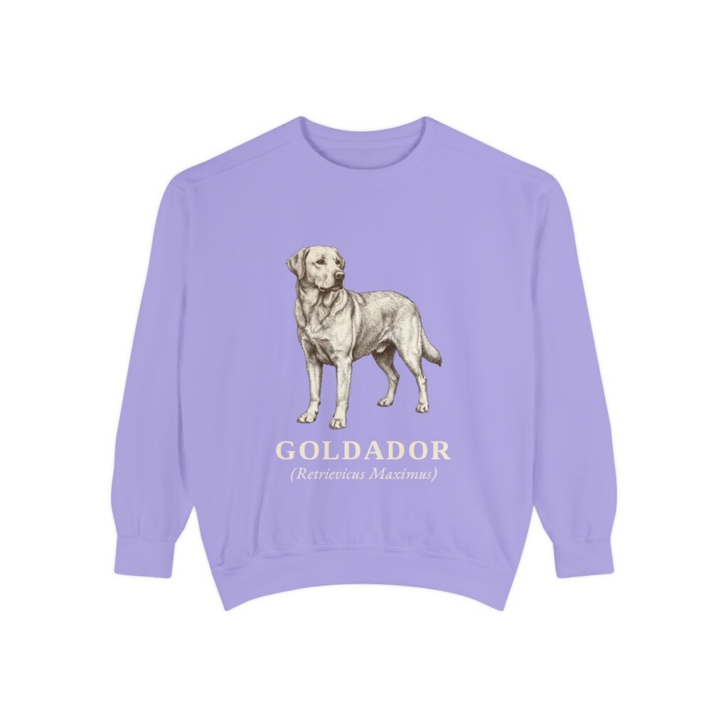 Goldador Latin Sweatshirt, Violet, front view