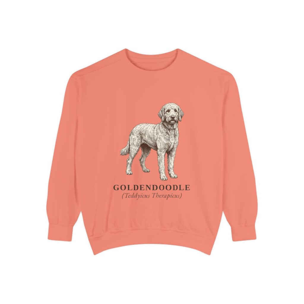 goldendoodle-sweatshirt-latin-terracotta Goldendoodle Latin Sweatshirt, Terracotta, front view