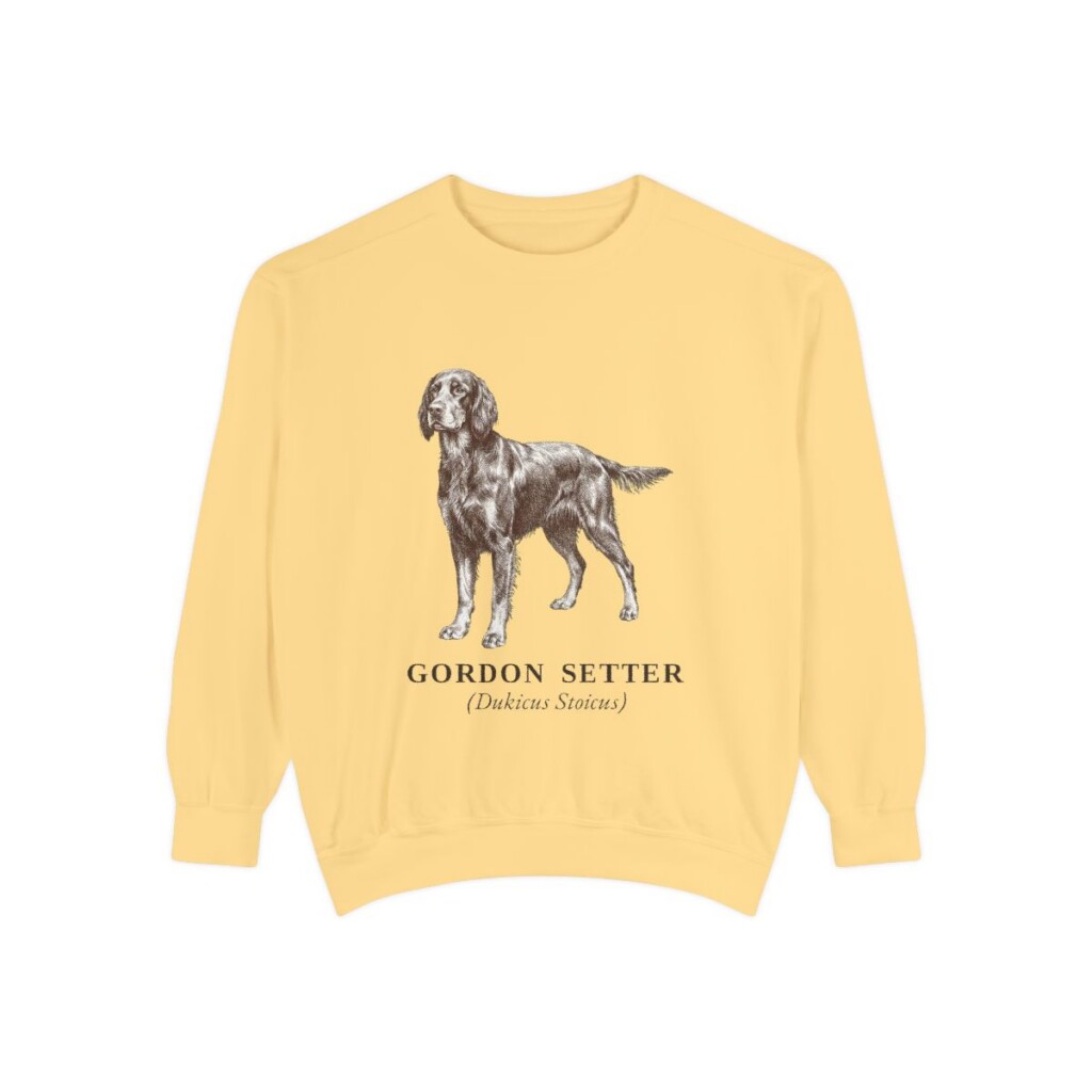 gordon-setter-sweatshirt-latin-butter Gordon Setter Latin Sweatshirt, Butter, front view