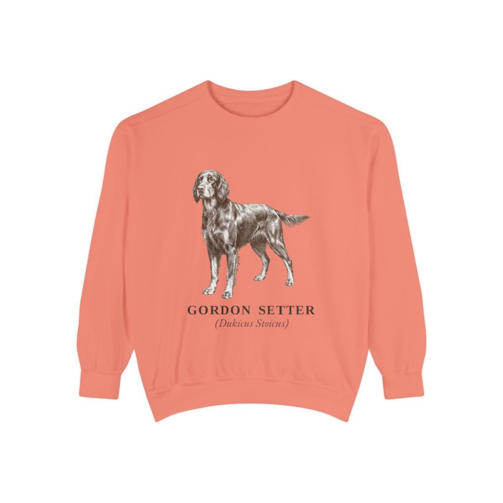 gordon-setter-sweatshirt-latin-terracotta Gordon Setter Latin Sweatshirt, Terracotta, front view