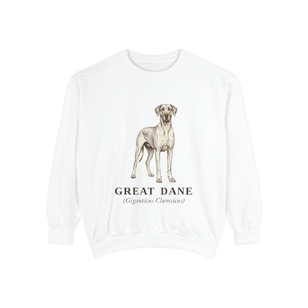 Great Dane Latin Sweatshirt, White, front view