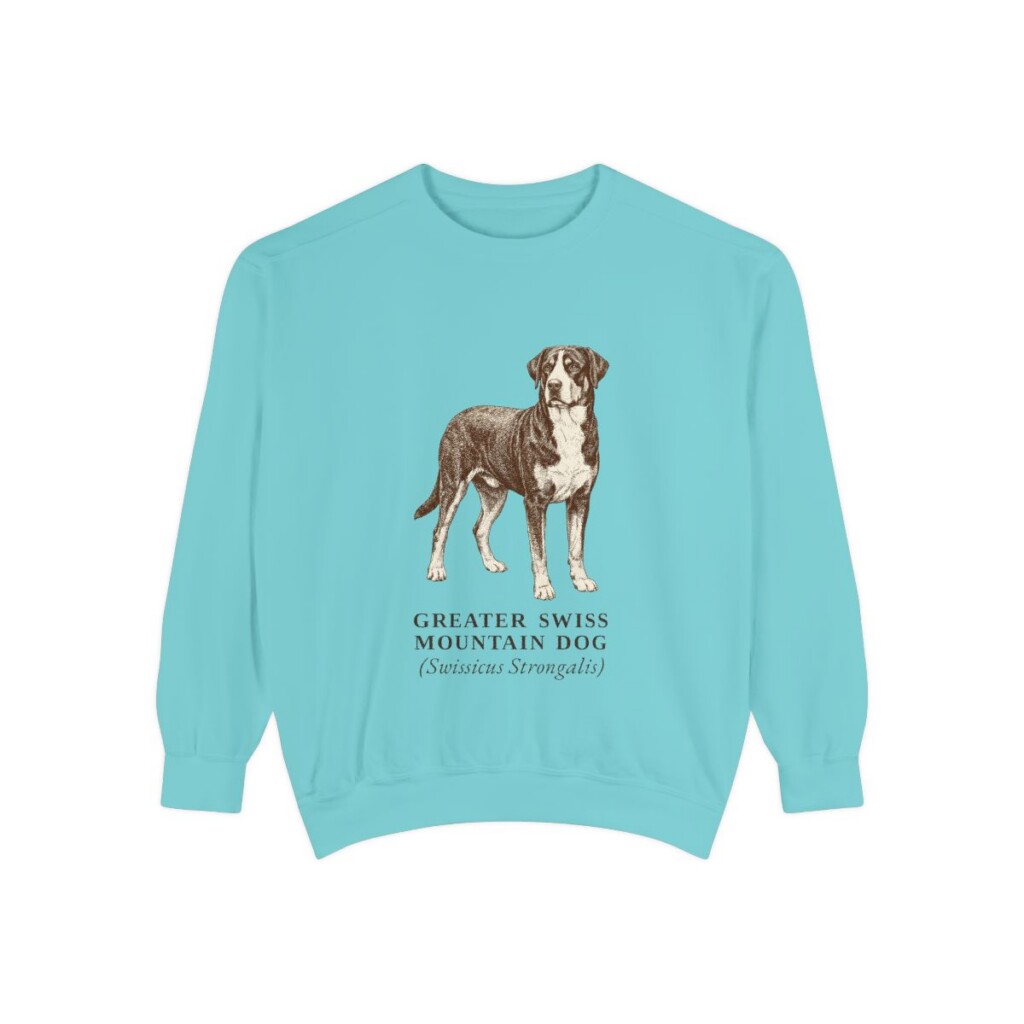 Greater Swiss Mountain Dog Latin Sweatshirt, Chalky Mint, front view