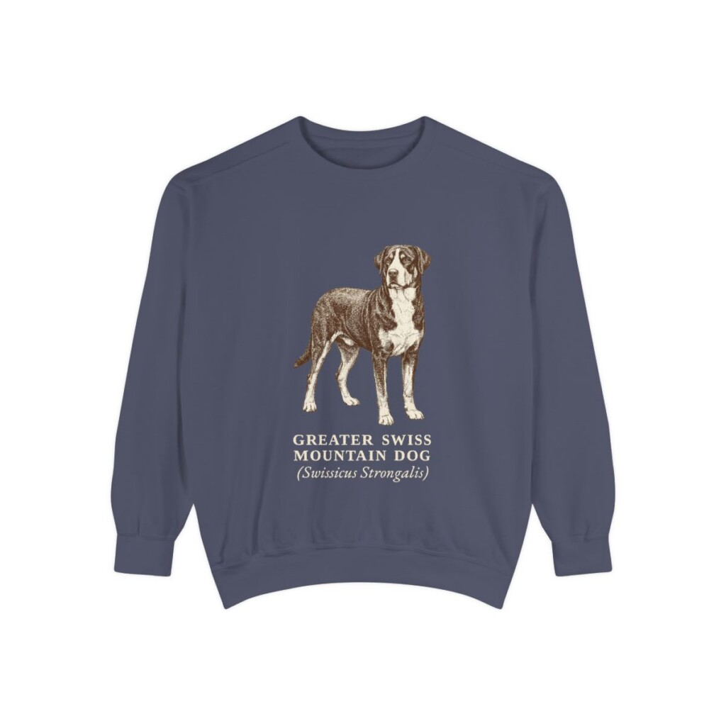 Greater Swiss Mountain Dog Latin Sweatshirt, Denim, front view