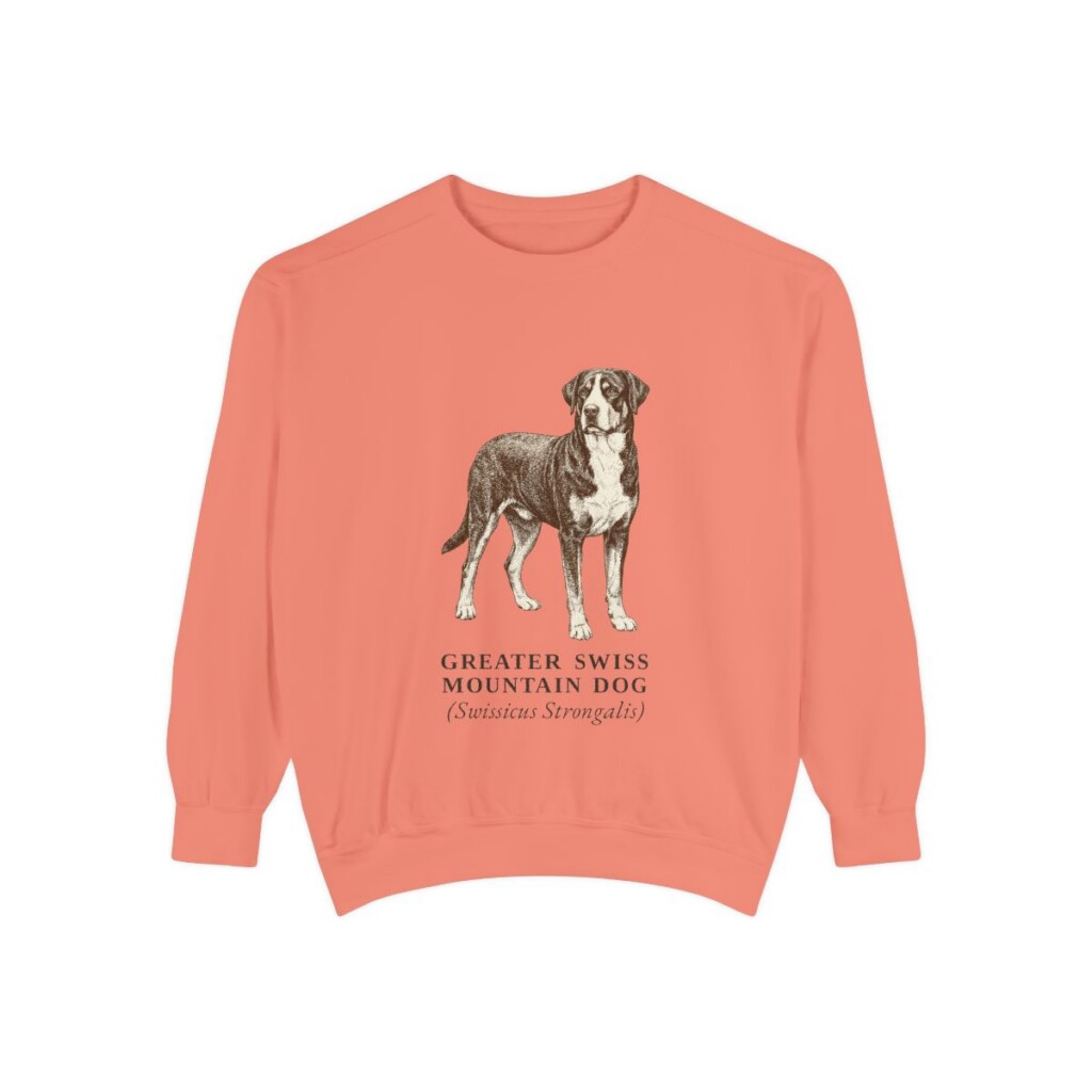 Greater Swiss Mountain Dog Latin Sweatshirt, Terracotta, front view