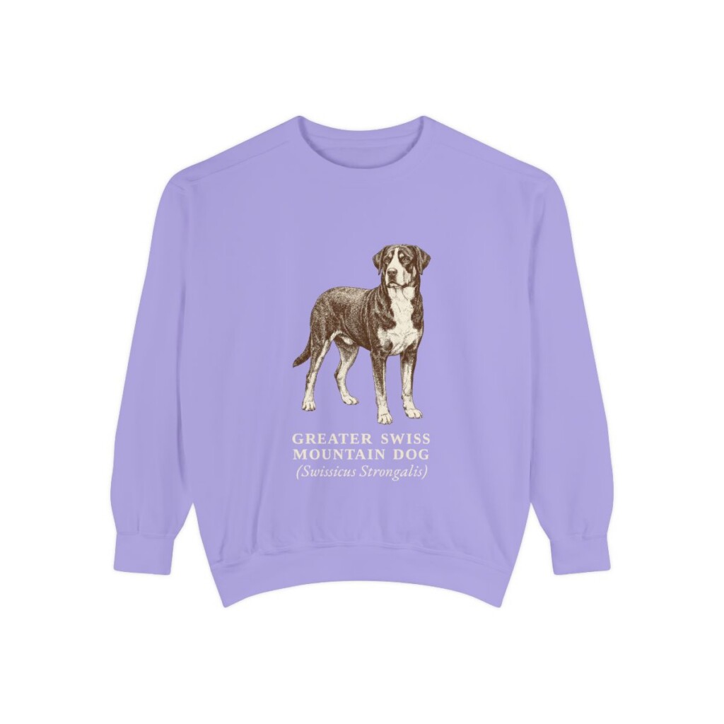 Greater Swiss Mountain Dog Latin Sweatshirt, Violet, front view