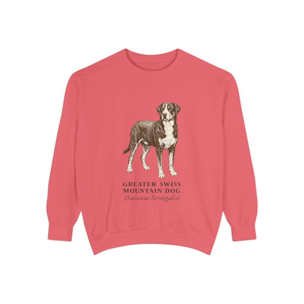 Greater Swiss Mountain Dog Latin Sweatshirt, Watermelon, front view