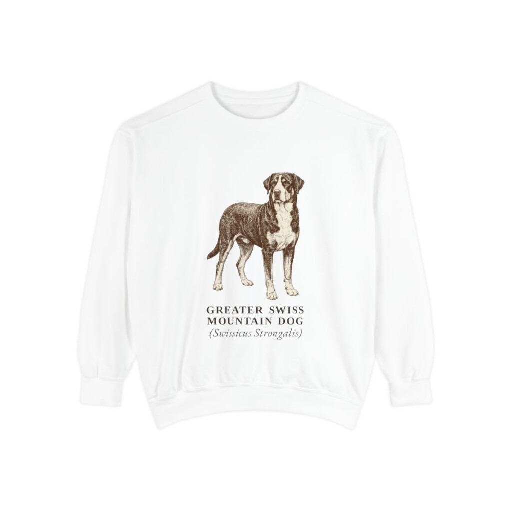 Greater Swiss Mountain Dog Latin Sweatshirt, White, front view