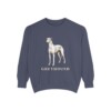 Greyhound Sweatshirt, Denim, front view