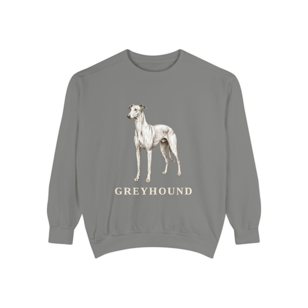 Greyhound Sweatshirt, Grey, front view