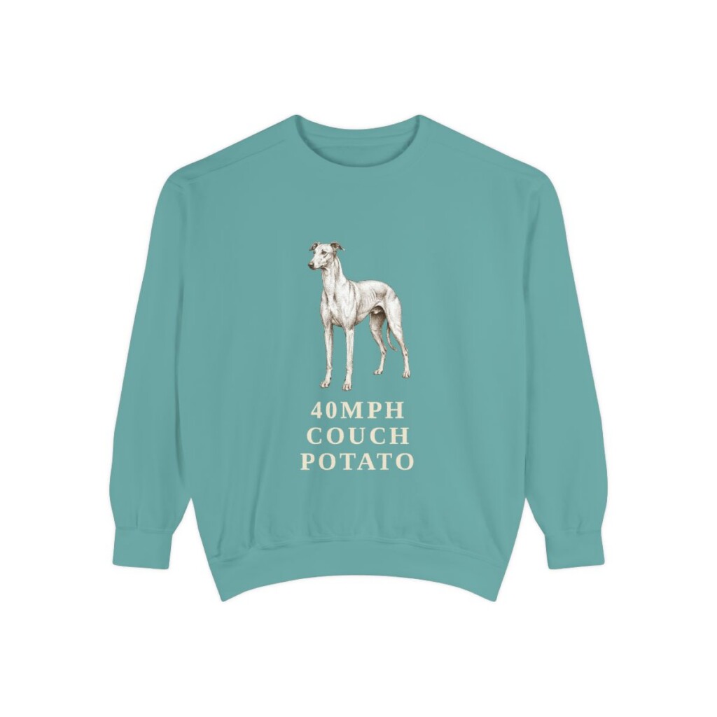 Greyhound Humor Sweatshirt, Seafoam, front view
