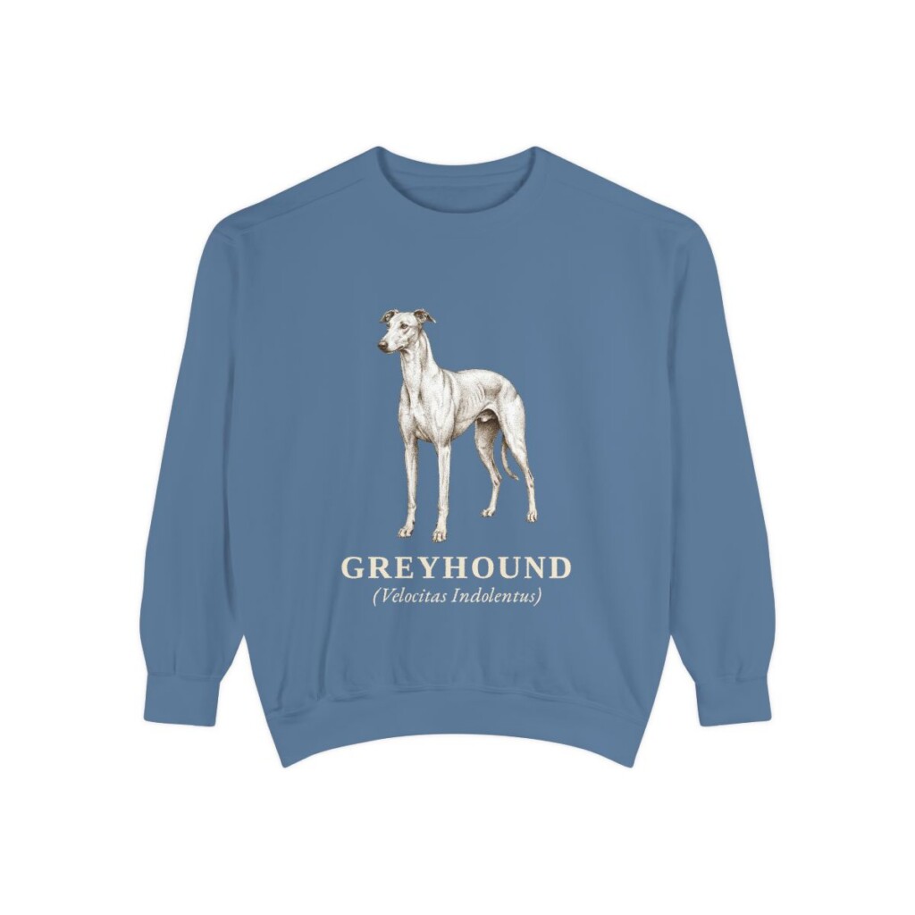 Greyhound Latin Sweatshirt, Blue Jean, front view