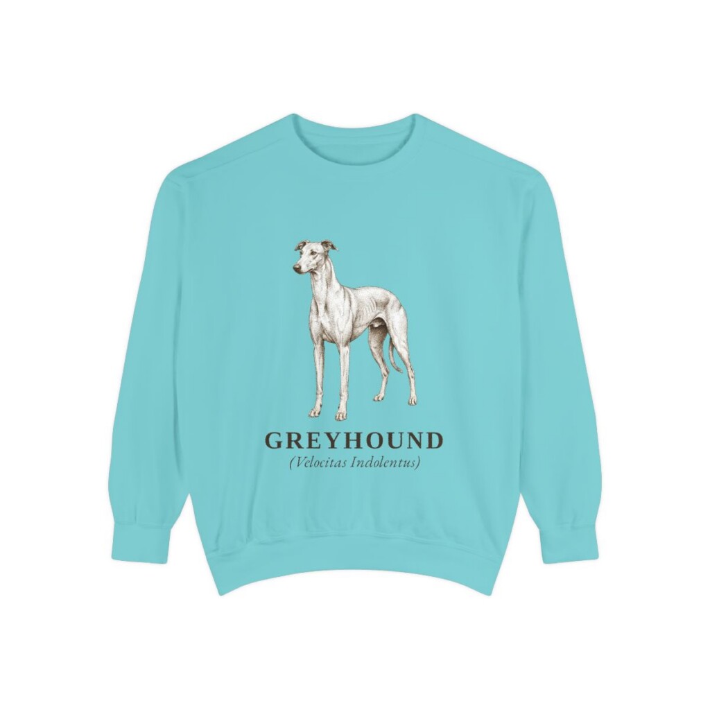 Greyhound Latin Sweatshirt, Chalky Mint, front view
