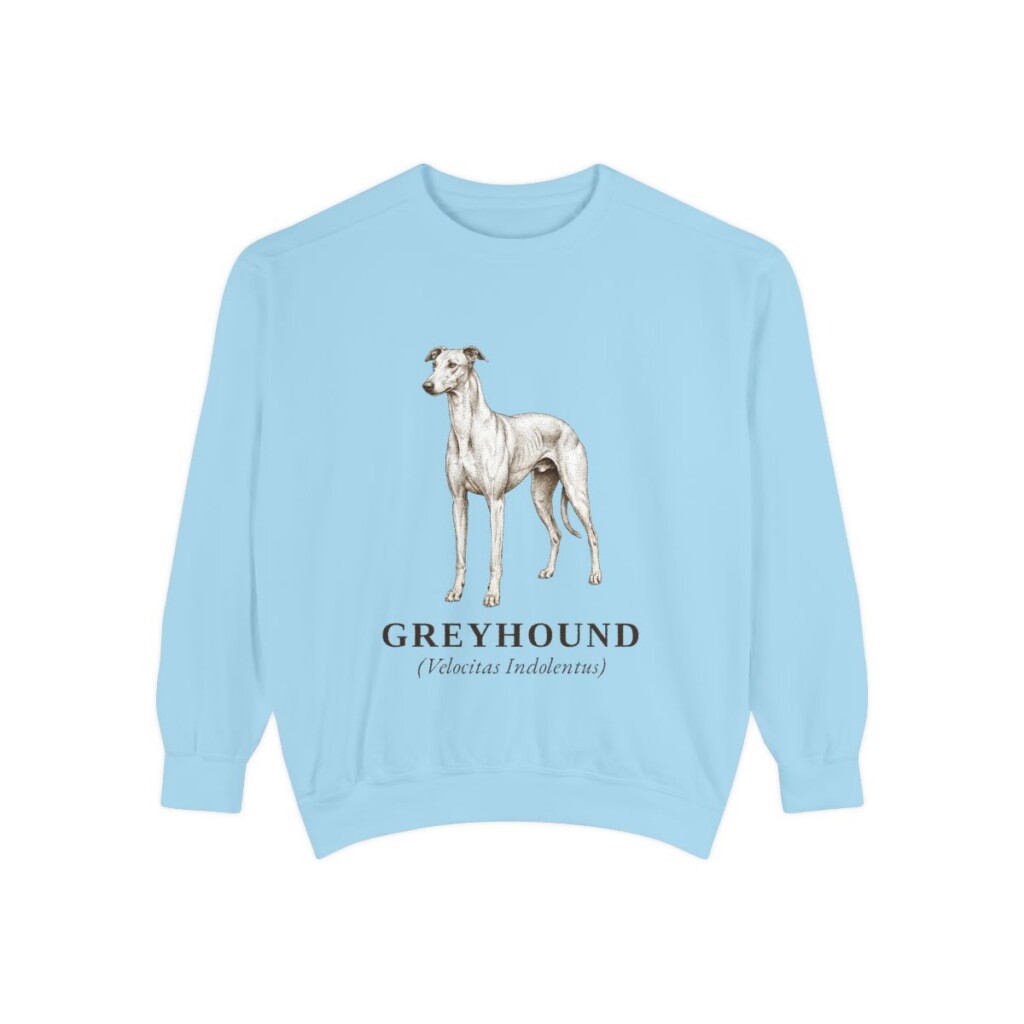Greyhound Latin Sweatshirt, Chambray, front view