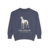 Greyhound Latin Sweatshirt, Denim, front view