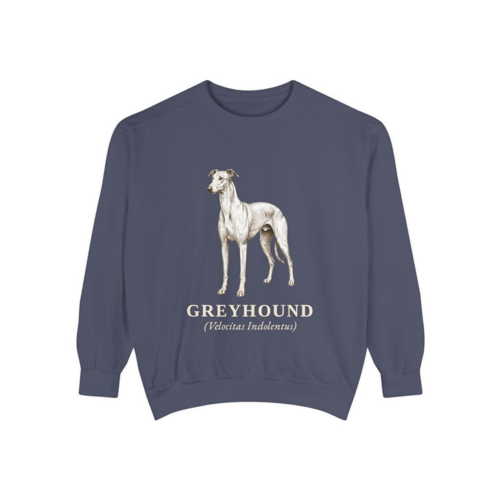 Greyhound Latin Sweatshirt, Denim, front view