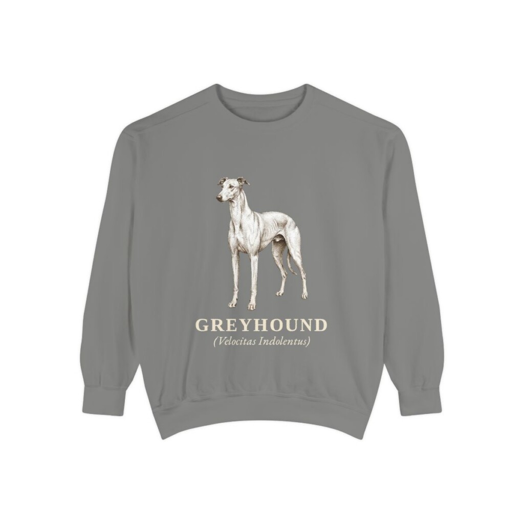 Greyhound Latin Sweatshirt, Grey, front view