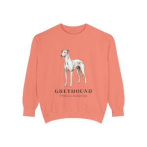 Greyhound Latin Sweatshirt, Terracotta, front view