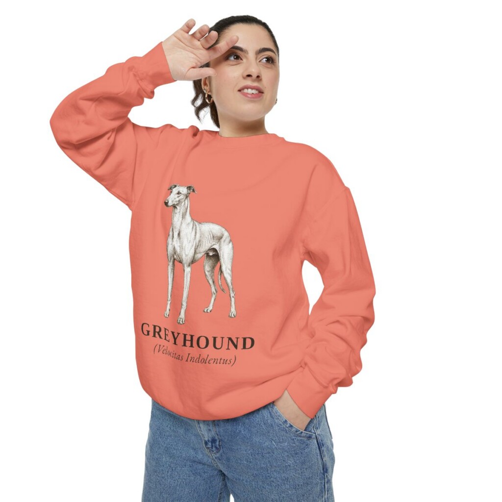 Greyhound Latin Sweatshirt, Terracotta, person 2 context