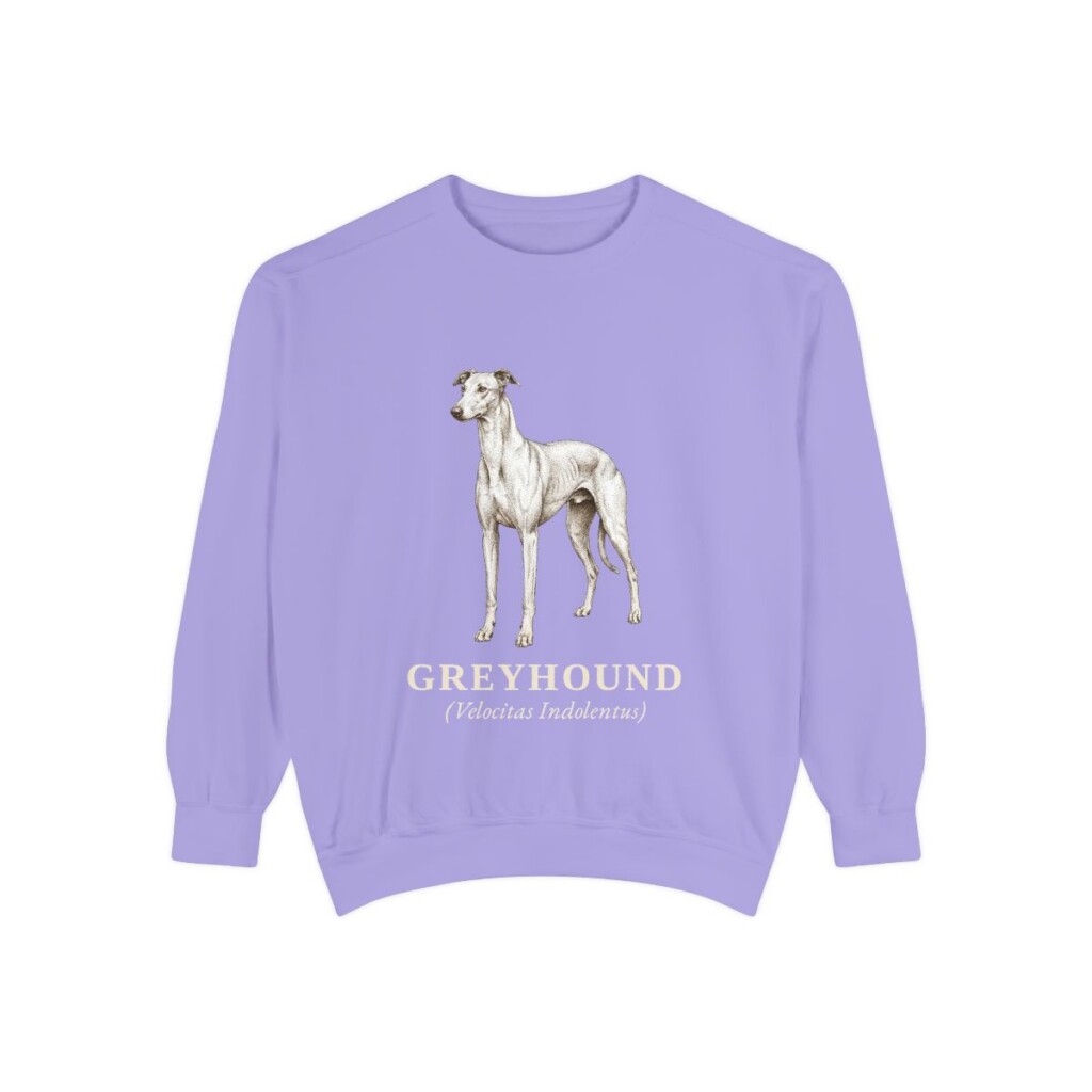 Greyhound Latin Sweatshirt, Violet, front view