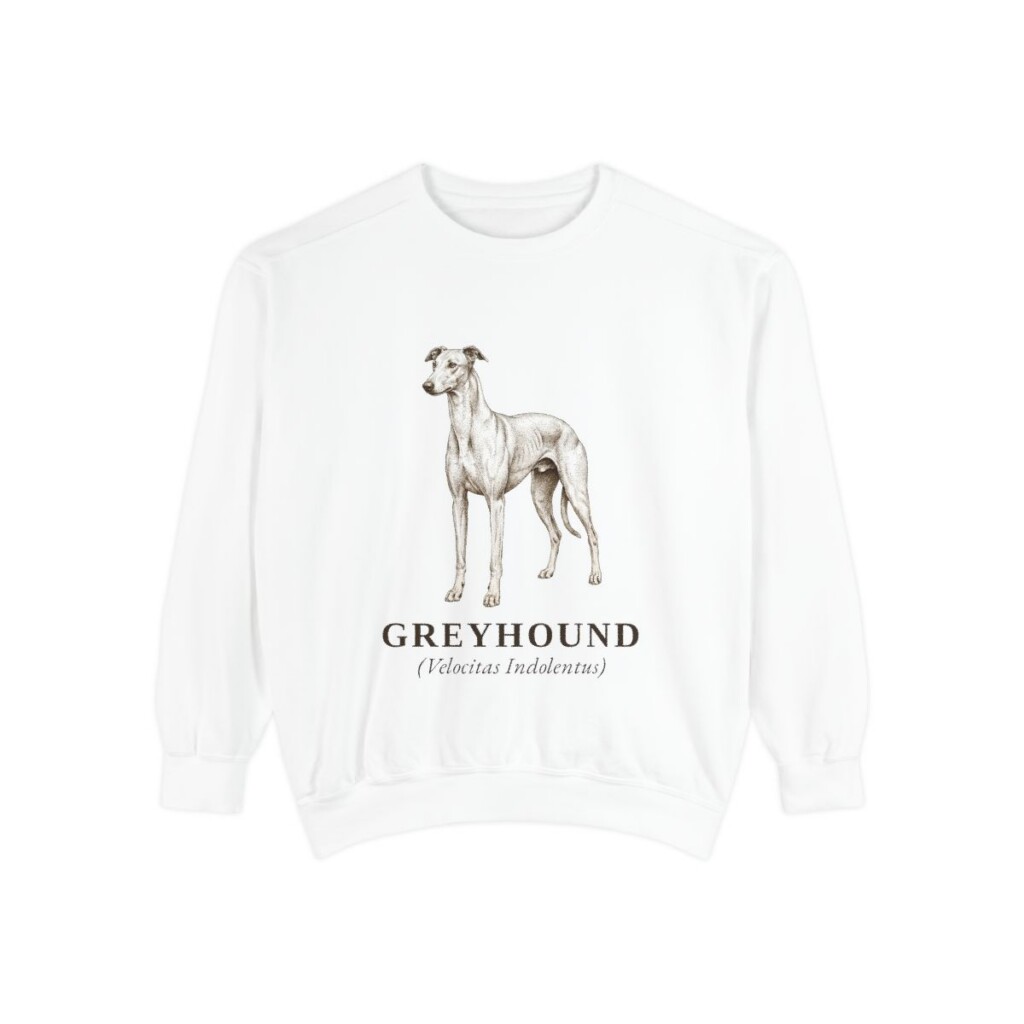 Greyhound Latin Sweatshirt, White, front view