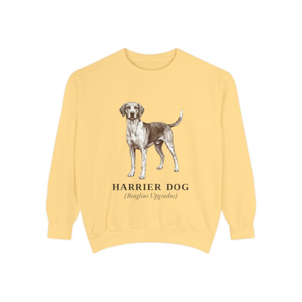 Harrier Dog Latin Sweatshirt, Butter, front view