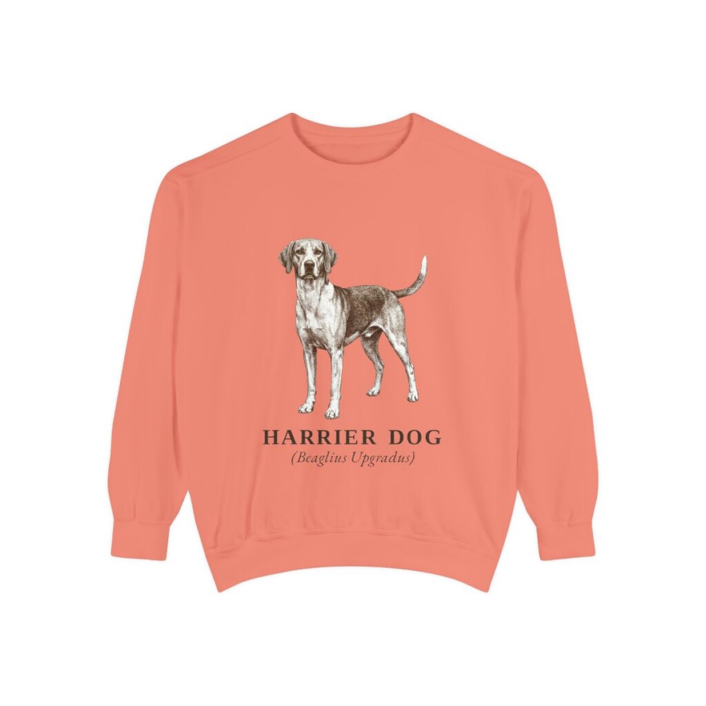 Harrier Dog Latin Sweatshirt, Terracotta, front view