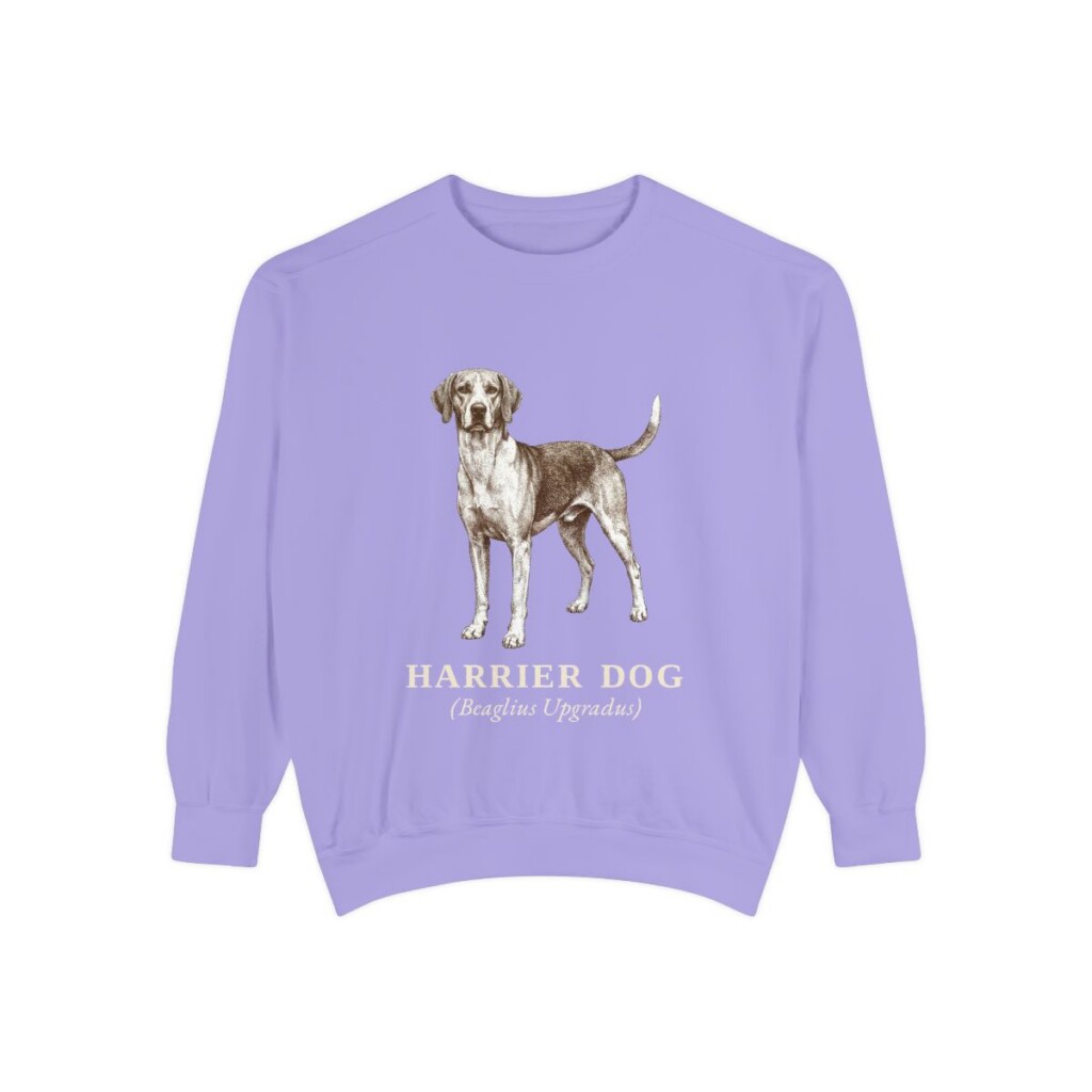 Harrier Dog Latin Sweatshirt, Violet, front view