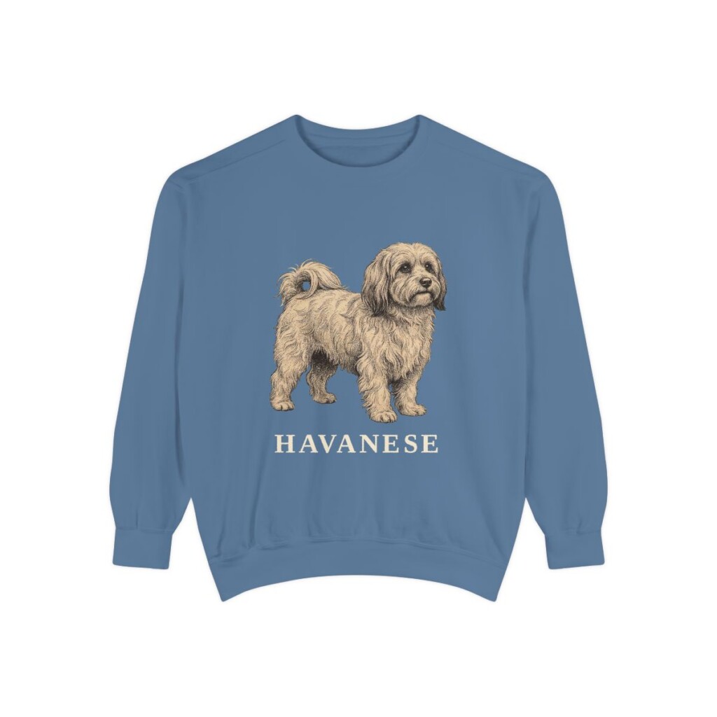 Havanese Sweatshirt, Blue Jean, front view