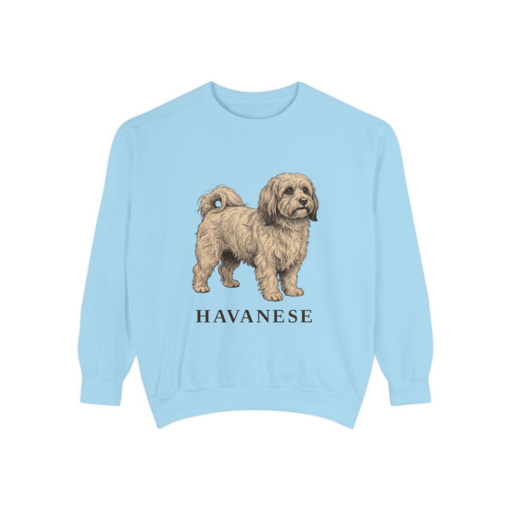 Havanese Sweatshirt, Chambray, front view