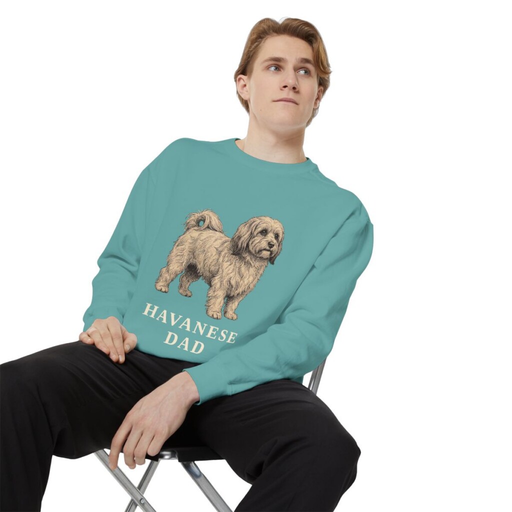 Havanese Dad Sweatshirt, Seafoam, person 1 context