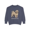 Havanese Sweatshirt, Denim, front view