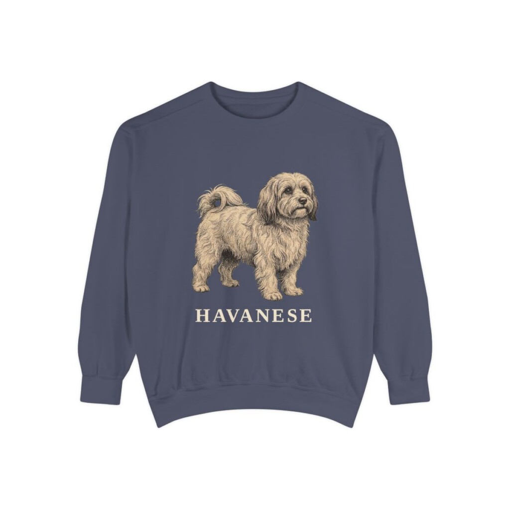 Havanese Sweatshirt, Denim, front view