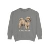 Havanese Sweatshirt, Grey, front view