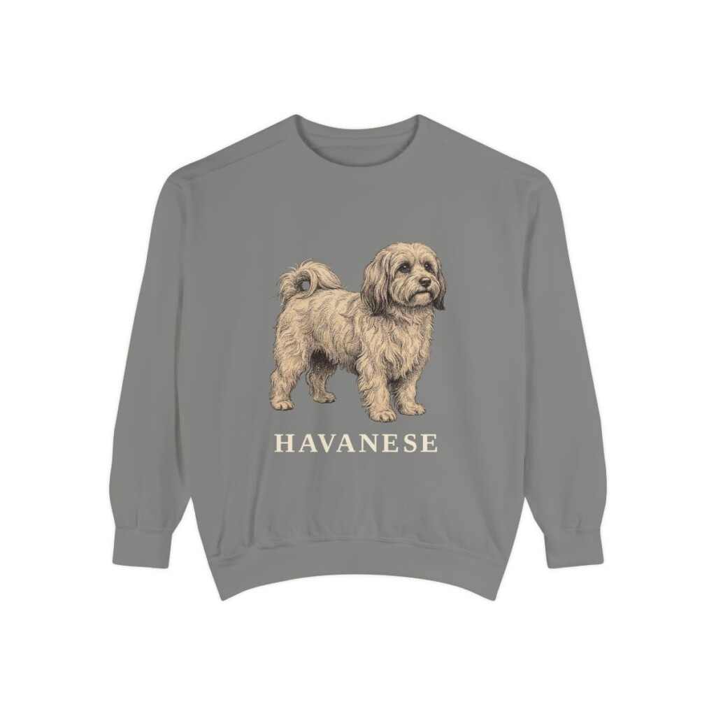 Havanese Sweatshirt, Grey, front view