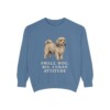 havanese-sweatshirt-humor-blue-jean Havanese Humor Sweatshirt, Blue Jean, front view