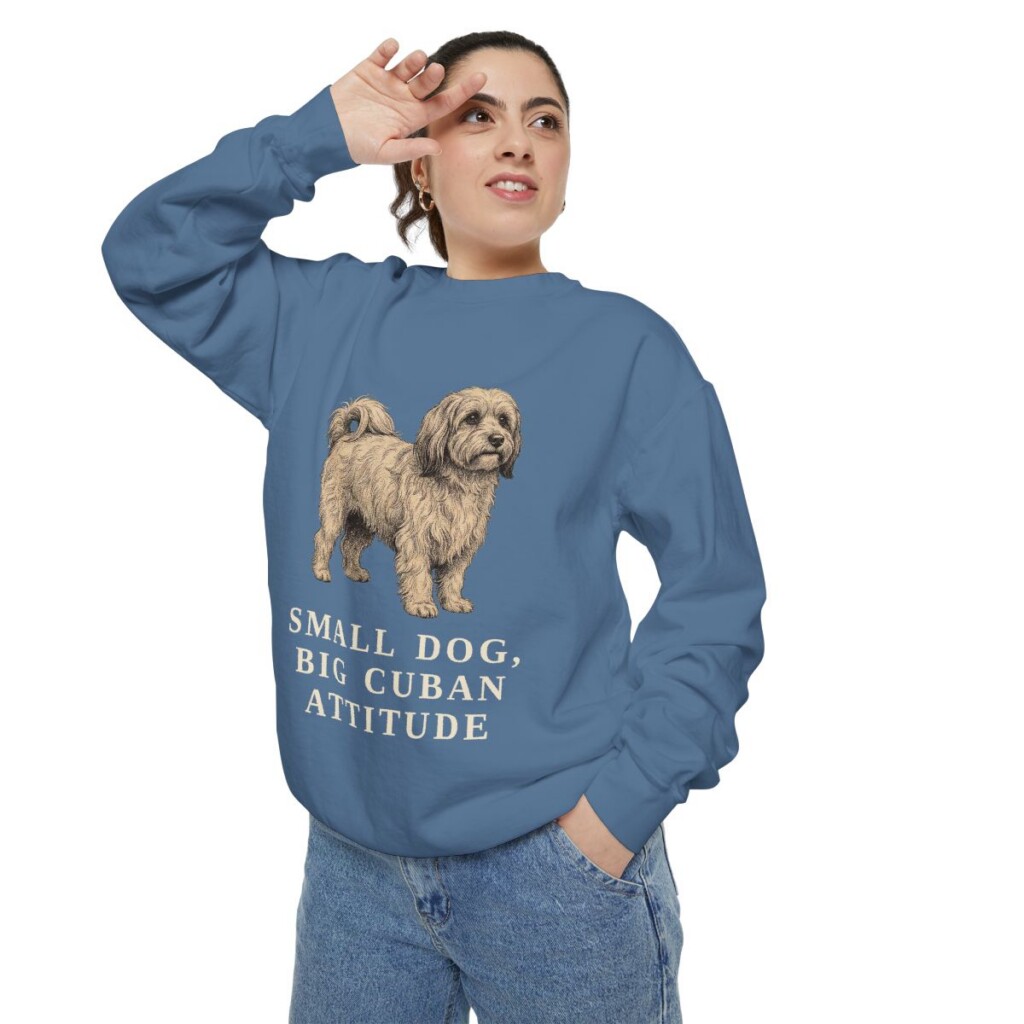 havanese-sweatshirt-humor-blue-jean-person-2-context Havanese Humor Sweatshirt, Blue Jean, person 2 context
