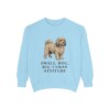 havanese-sweatshirt-humor-chambray Havanese Humor Sweatshirt, Chambray, front view