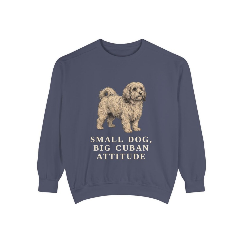 havanese-sweatshirt-humor-denim Havanese Humor Sweatshirt, Denim, front view