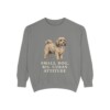 havanese-sweatshirt-humor-grey Havanese Humor Sweatshirt, Grey, front view